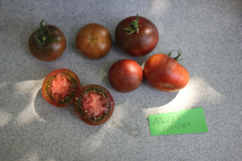 Saladetomaat 'Velvet Knight', Solanum lycopersicum