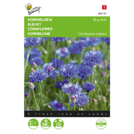 Centaurea cyanus 'Blue Ball', Korenbloem