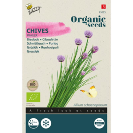 Bieslook gewone 'Prager', Allium schoenoprasum Biologisch