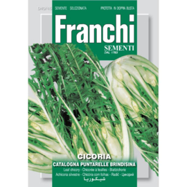 Kapucijnerbaard 'Catalogna Puntarelle Brindisina', Cichorium intybus var. foliosum