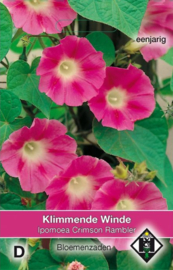 Ipomoea purpurea 'Crimson Rambler', Klimmende Winde