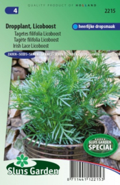 Dropplant Licoboost, Tagetes filifolia