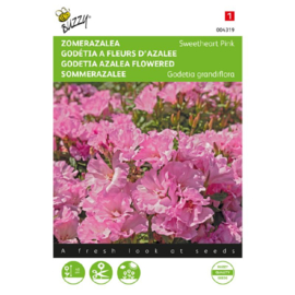 Godetia grandiflora 'Sweetheart pink', Zomer Azalea