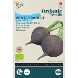 Rammenas 'Ronde Zwarte', Raphanus sativus Biologisch