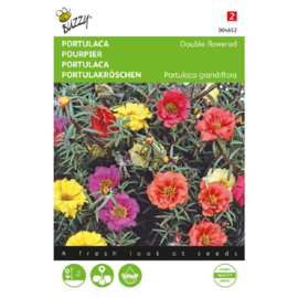 Portulaca grandiflora dubbelbloemig, Zonneroosje of Portularoosje