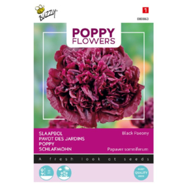 Papaver somniferum 'Black Paeony', Papaver of Slaapbol