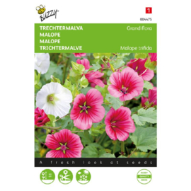 Malope trifida 'Grandiflora', Trechtermalva
