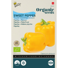 Paprika rode blokpaprika 'Yellow California Wonder', Capsicum annuum Biologisch