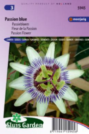 Passiflora caerulea, Passibloem winterhard