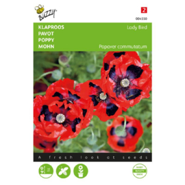 Papaver rhoeas ‘Lady Bird’, Klaproos