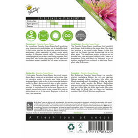 Echinacea purpurea 'Paradiso Super-Duper', Zonnehoed Rudbeckia