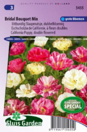 Eschscholzia californica 'Bridal Bouquet', Slaapmutsje