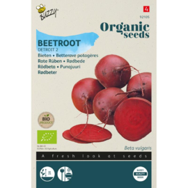 Biet rode 'Kogel 2', Beta vulgaris var. rubra Biologisch