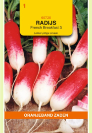 Radijs 'French Breakfast 3', Raphanus sativus var sativus