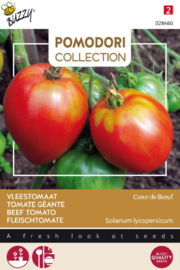 Tomaat vleestomaat 'Cuor di Bue', Solanum lycopersicum