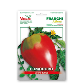 Tomaat vleestomaat 'Cuor di Bue', Solanum lycopersicum