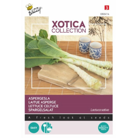 Aspergesla of stengelsla 'Celtuce', Lactuca sativa