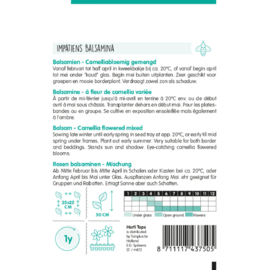 Impatiens balsamina Camelia bloemig gemengd, Balsamien