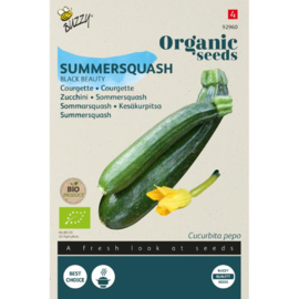 Courgette 'Black Beauty', Cucurbita pepo Biologisch