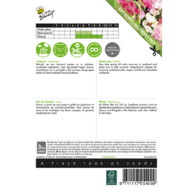 Lathyrus latifolius MIX/'Pearl Mix', Siererwt meerjarig