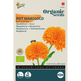 Calendula officinalis 'Ball’s Orange', Goudsbloem Biologisch