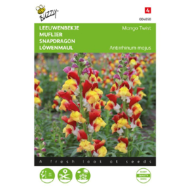 Antirrhinum majus 'Mango Twist', Leeuwenbek