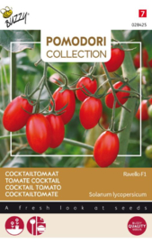 Cocktailtomaat 'Ravello F1', Solanum lycopersicum (tijdelijk niet leverbaar)