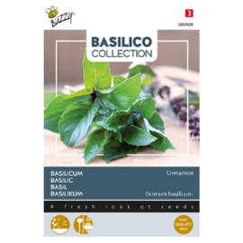 Basilicum kaneel 'Cinamon', Ocinum basilicum