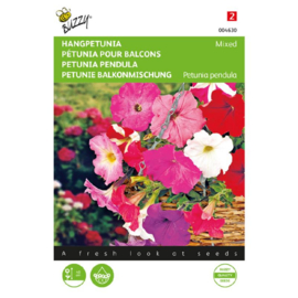 Petunia pendula gemengd, Hangpetunia