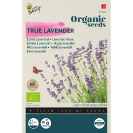 Echte Lavendel, Lavandula angustifolia Biologisch