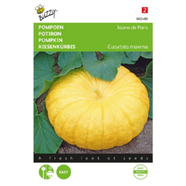 Pompoen 'Jaune de Paris' / 'Gele Centenaar', Cucurbita maxima