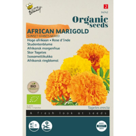 Tagetes erecta 'Sunset Giants Mixed', Afrikaantje
