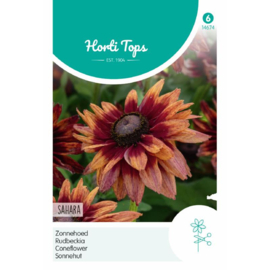 Rudbeckia hirta 'Sahara', Zonnehoed