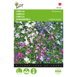 Lobelia erinus 'Parelsnoer', Lobelia