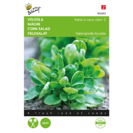 Veldsla 'Groene Volhart 2', Valerianella locusta