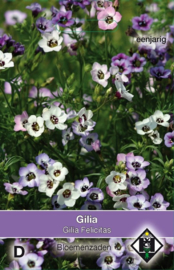 Gilia tricolor 'Felicitas', Gilia