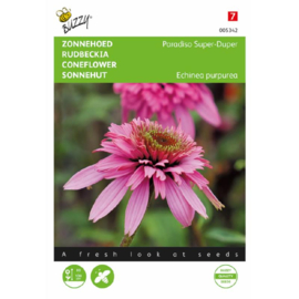 Echinacea purpurea 'Paradiso Super-Duper', Zonnehoed Rudbeckia