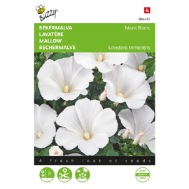 Lavatera trimestris 'Mont Blanc', Lavatera Grootbloemige Bekermalva