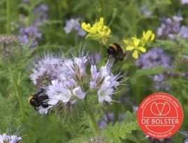 Bloemenmengsel Thubingermengsel Biologisch