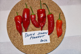 Peper 'Dong Xuan Market', Capsicum baccatum