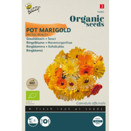 Calendula officinalis 'Pacific Beauty', Goudsbloem Biologisch