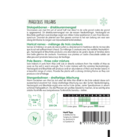 Stokslaboon spekboon sperzieboon MIX, Phaseolus vulgaris
