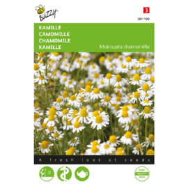 Kamille, Matricaria chamomilla