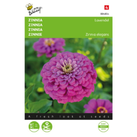 Zinnia elegans 'Lavendel', Zinnia (voorlopig niet leverbaar)