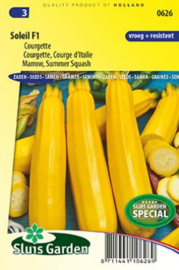 Courgette geel 'Soleil F1', Cucurbita pepo