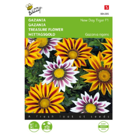 Gazania splendens 'Tiger F1', Gazania