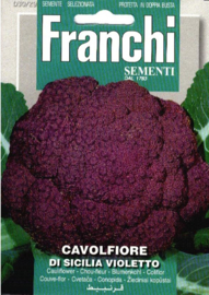 Bloemkool 'Di Sicilia Violetto', Brassica oleracea var. botrytis (voorlopig niet leverbaar)