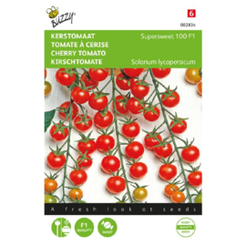Cherrytomaat 'Supersweet 100 F1', Solanum lycopersicum
