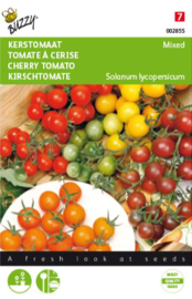 Cherrytomaat Mixed, Solanum lycopersicum