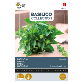 Basilicum dwerg 'Bascuro', Ocinum basilicum